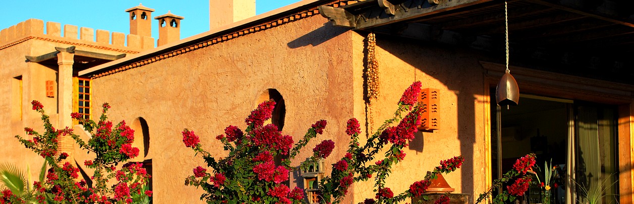 Facade-Ouest-avec-bougainviliers