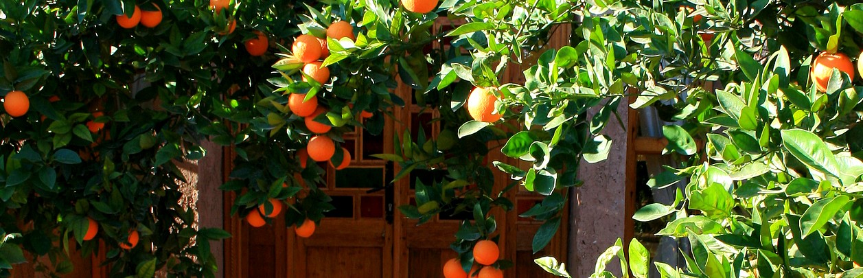orangers